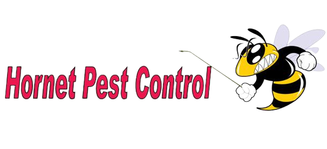 Termite Treatment Companies in Swedesboro